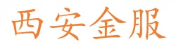 Xa金服